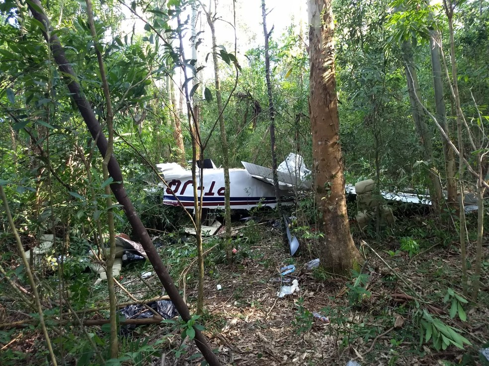 Quatro pessoas estavam no avião; todas morreram — Foto: Cícero Bittencourt/ RPC Cascavel