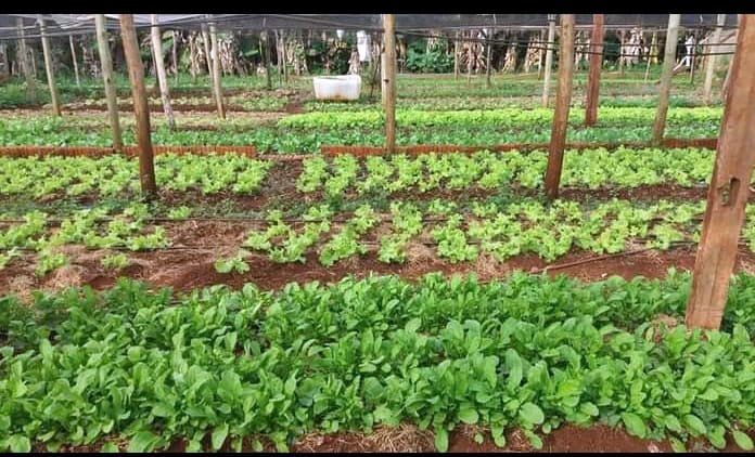 b7ef50cd-8f1d-438a-8bc1-02c1a3f5bfd6