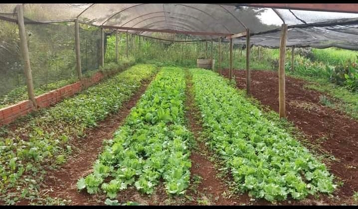 f3ed2190-7930-46e3-8786-7578fe6a52fb