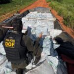 Policiais do DOF realizam apreensão de contrababdo avaliada em R$ 12 milhões, em Mundo Novo