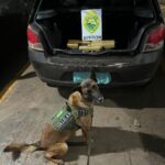 Três elementos são detidos com maconha em Marechal Rondon