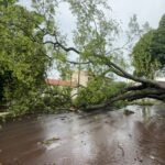 Vento e chuva fortes atingem Guaíra e derrubam árvores