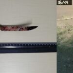 Polícia procura homem que invadiu casa e esfaqueou idosa em Toledo