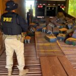 PRF apreende mais de 2,5 toneladas de maconha na BR-163 em Guaíra (PR)