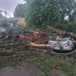 Tempestade em Curitiba traz granizo, derruba árvores sobre carros e deixa alagamentos
