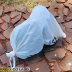 Crueldade choca moradores: cão é encontrado amarrado dentro de saco em São Clemente distrito de Santa Helena