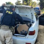 PRF apreende carga de cigarros contrabandeados que seria levada para Toledo