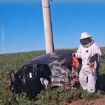 Vídeo: Enxame de abelhas provoca capotamento e deixa mulher internada no RS