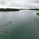 Lei sancionada no Paraguai abre caminho para cultivo de tilápia no reservatório de Itaipu