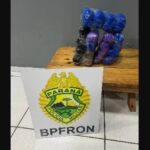 Passageiro de ônibus é preso com 10 quilos 650 gramas de a haxixe.