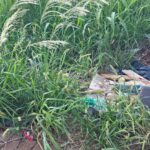 Município reforça responsabilidade dos proprietários na manutenção de terrenos