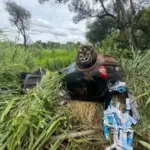 Adolescente capota veiculo carregado com cigarros